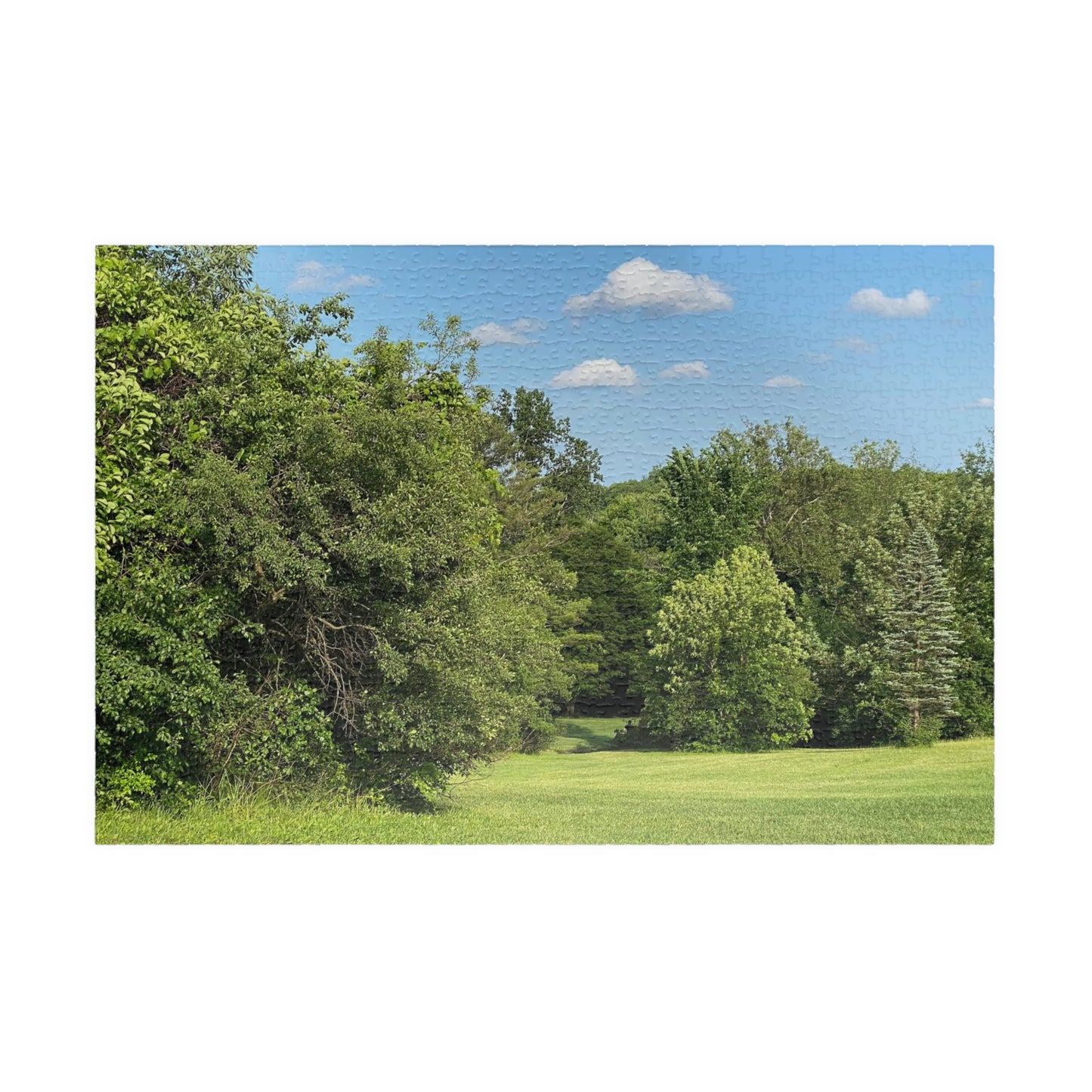 Scenic Summer Meadow Puzzle — 110/252/520/1014-Piece Jigsaw