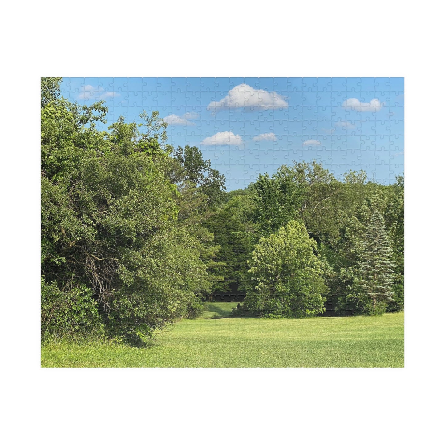 Scenic Summer Meadow Puzzle — 110/252/520/1014-Piece Jigsaw