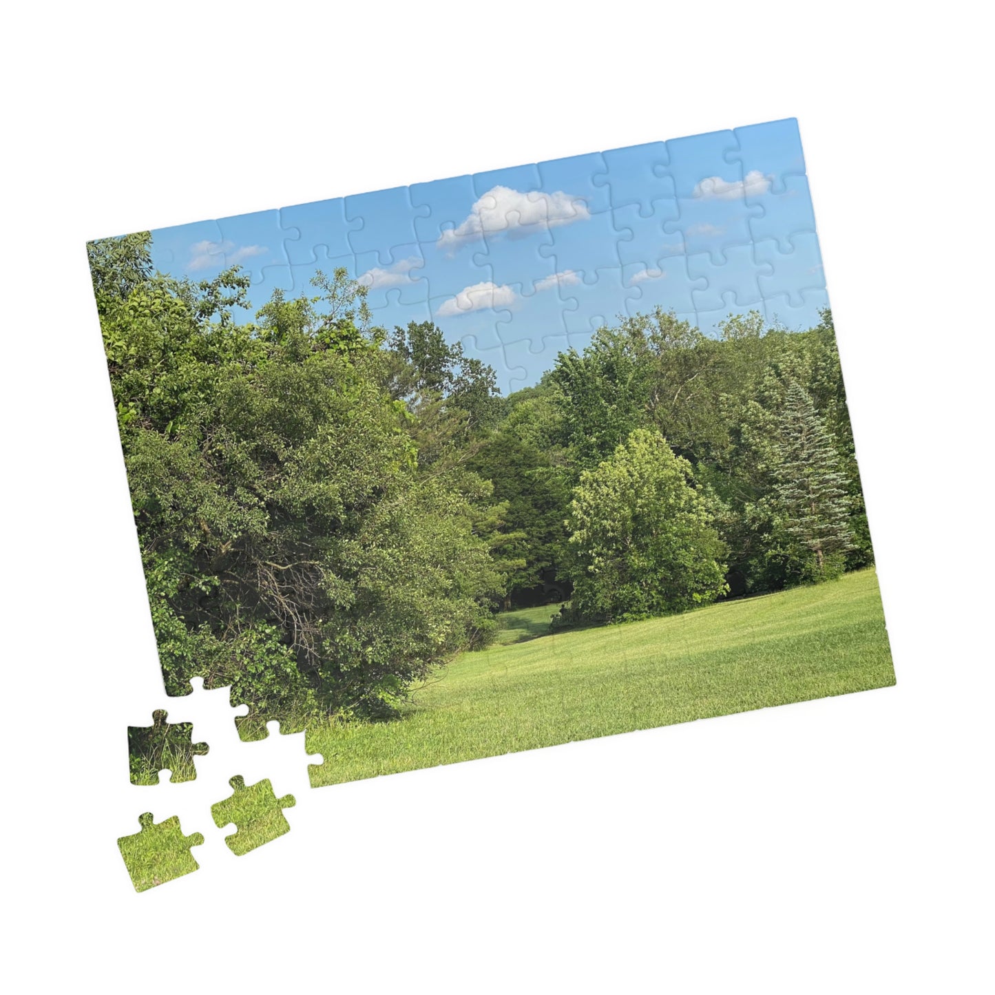 Scenic Summer Meadow Puzzle — 110/252/520/1014-Piece Jigsaw