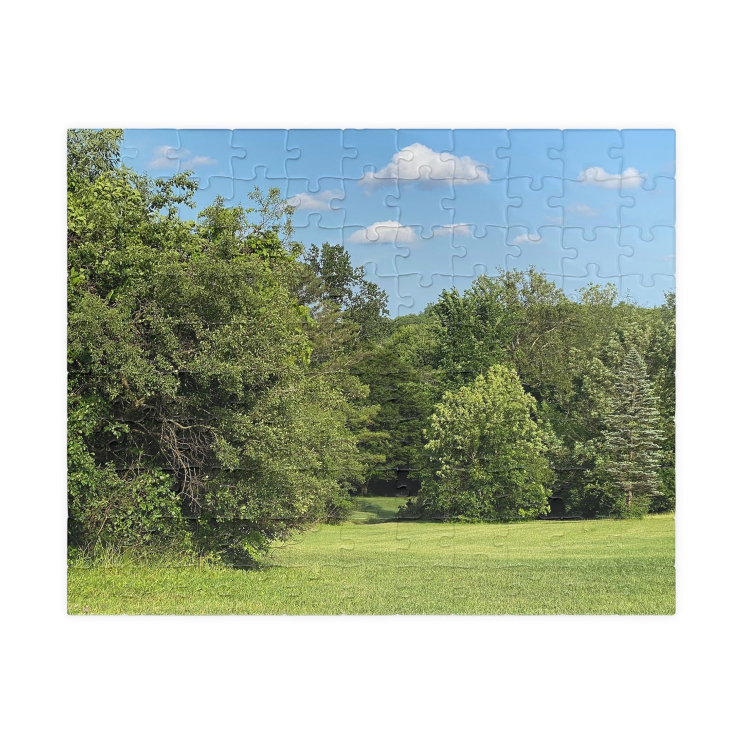 Scenic Summer Meadow Puzzle — 110/252/520/1014-Piece Jigsaw