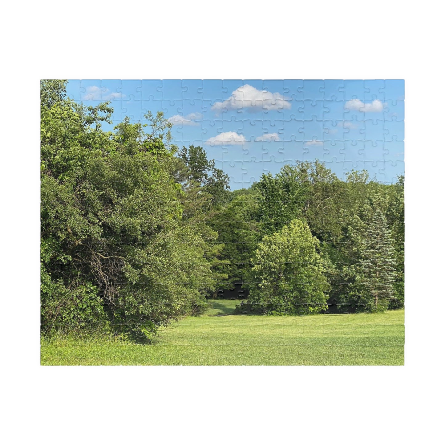 Scenic Summer Meadow Puzzle — 110/252/520/1014-Piece Jigsaw